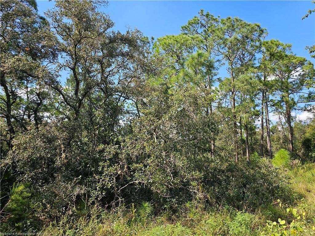 0.23 Acres of Residential Land for Sale in Sebring, Florida