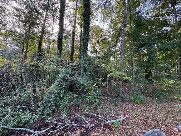 1 Acre of Residential Land for Sale in Milledgeville, Georgia