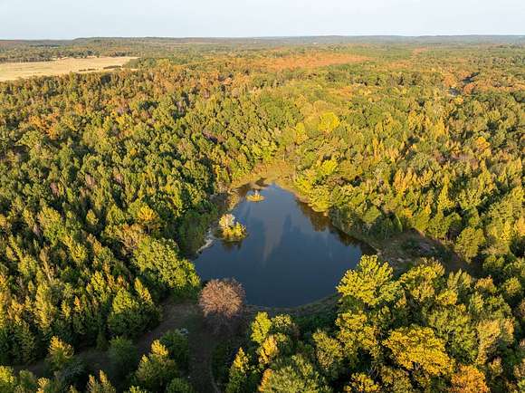 80 Acres of Recreational Land for Auction in Springfield, Arkansas