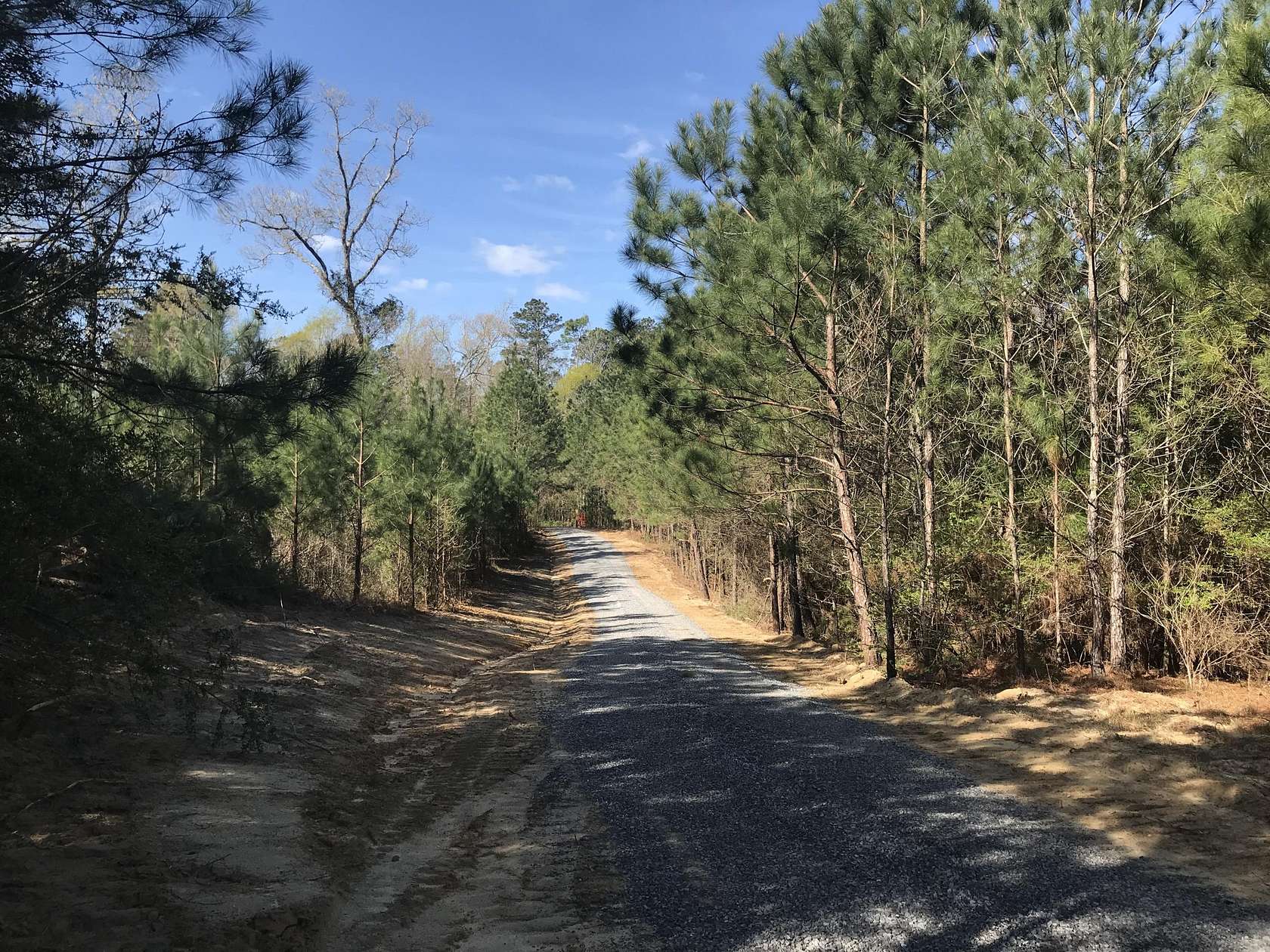 45 Acres of Recreational Land for Sale in Hattiesburg, Mississippi