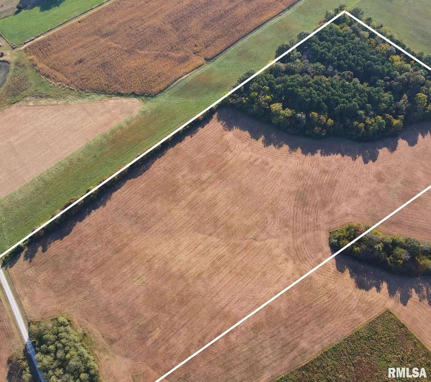 20 Acres of Land for Sale in Golconda, Illinois