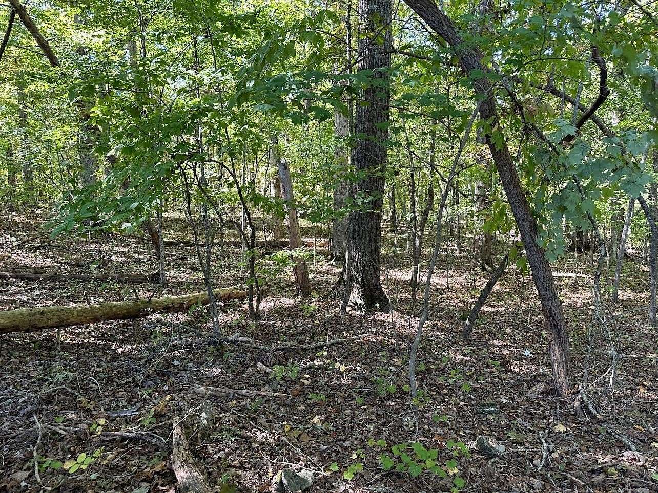 0.3 Acres of Residential Land for Sale in Spring City, Tennessee