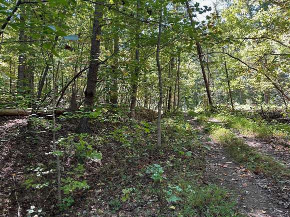 0.3 Acres of Residential Land for Sale in Spring City, Tennessee