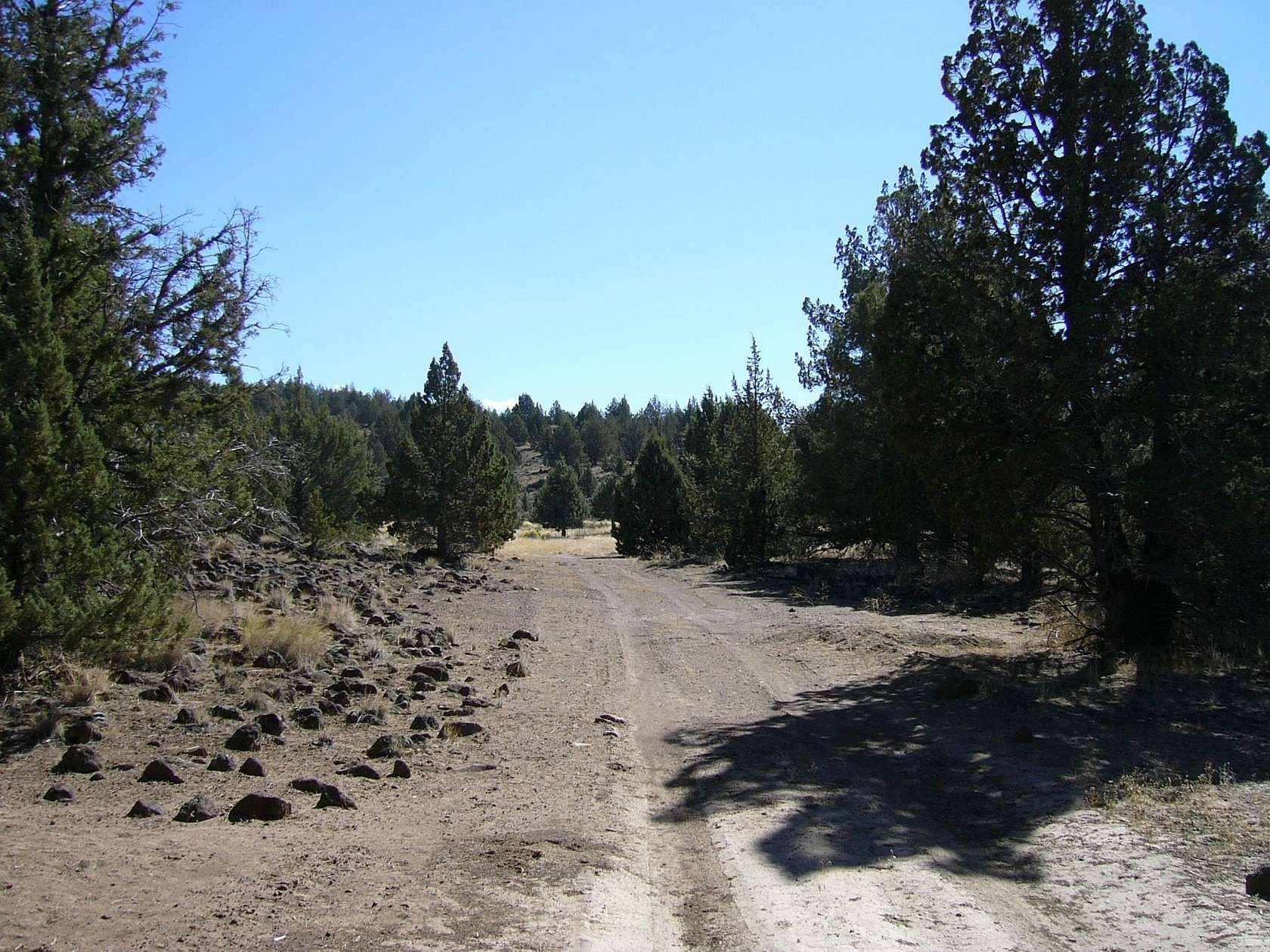 10 Acres of Residential Land for Sale in Macdoel, California