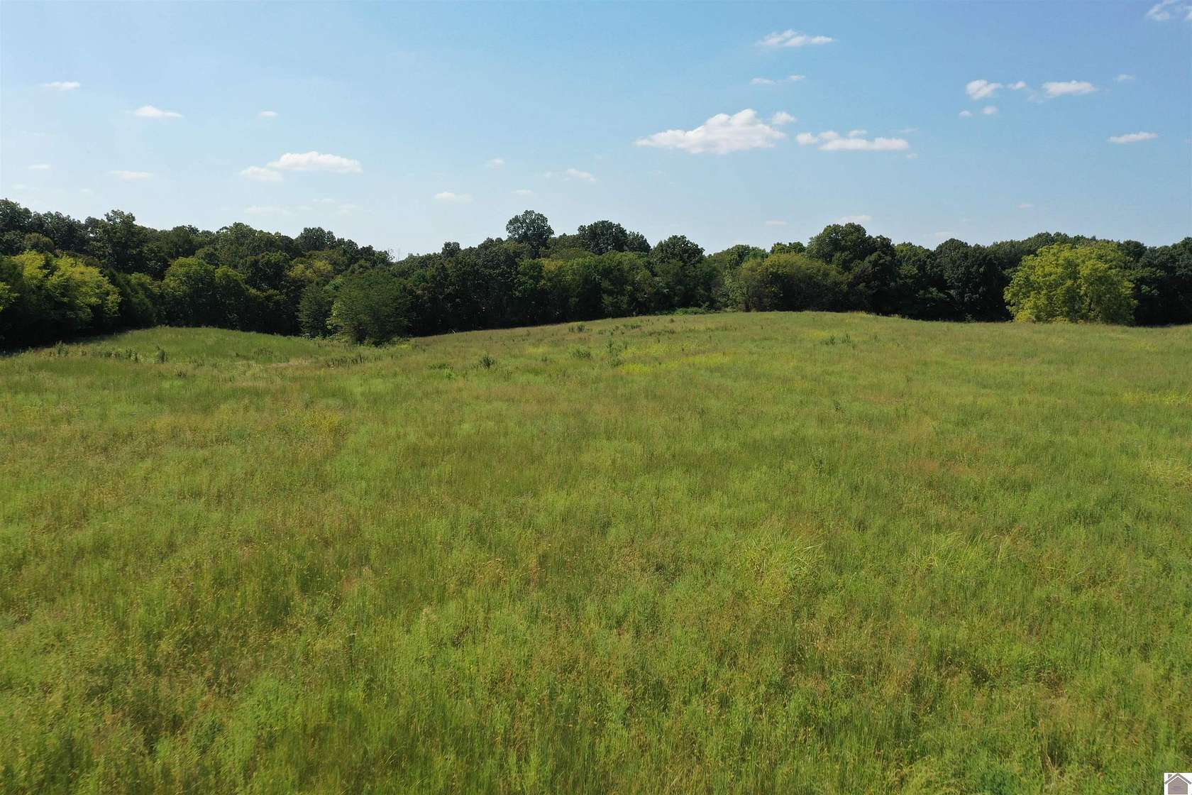 30 Acres of Agricultural Land for Auction in Benton, Kentucky