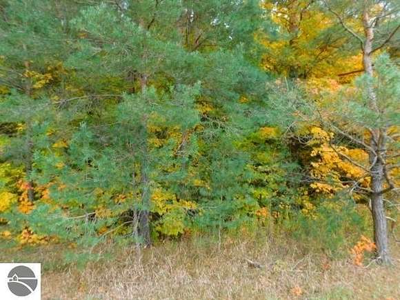 2.05 Acres of Residential Land for Sale in Kalkaska, Michigan