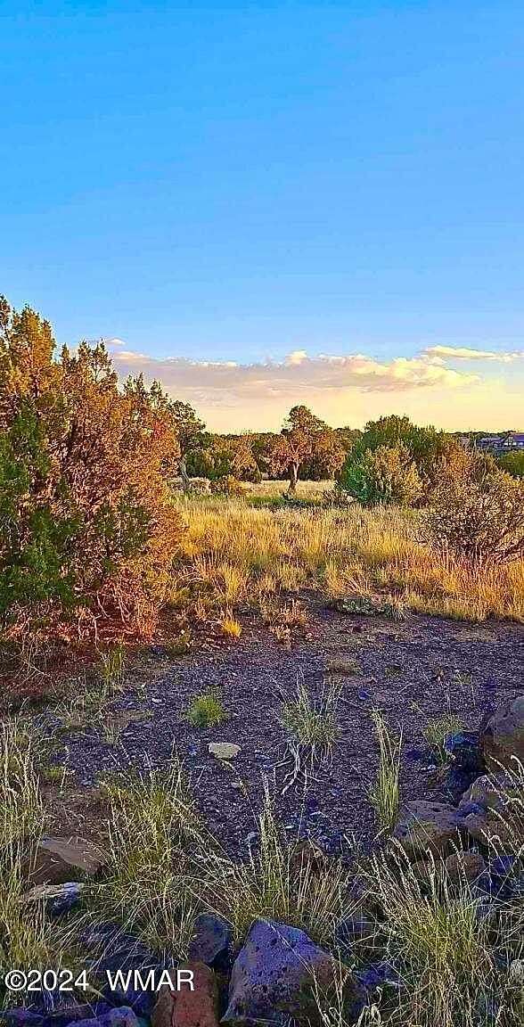 0.26 Acres of Residential Land for Sale in Show Low, Arizona