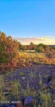 0.26 Acres of Residential Land for Sale in Show Low, Arizona