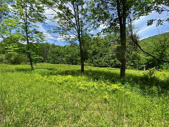 2.5 Acres of Residential Land for Sale in Hancock, New York