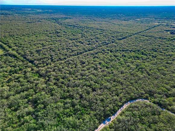 8 Acres of Land for Sale in Falfurrias, Texas