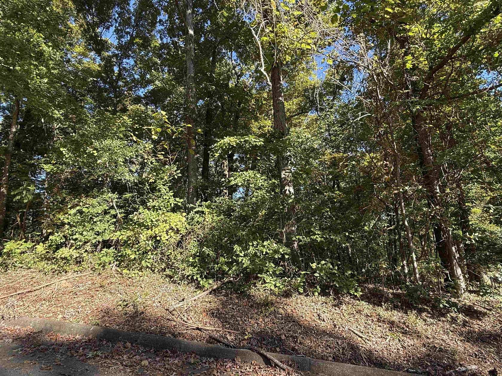 0.38 Acres of Residential Land for Sale in Sheffield, Alabama