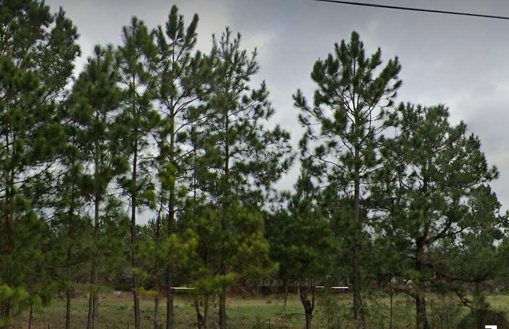 2 Acres of Mixed-Use Land for Sale in Valdosta, Georgia