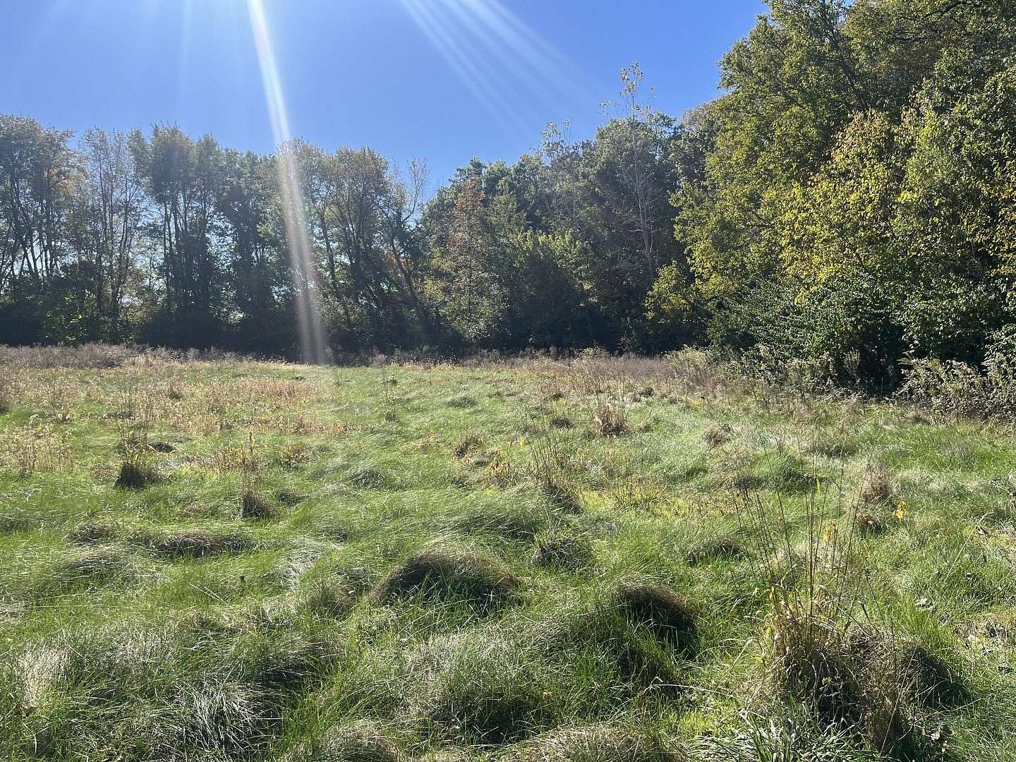 1.2 Acres of Residential Land for Sale in Essex, Illinois