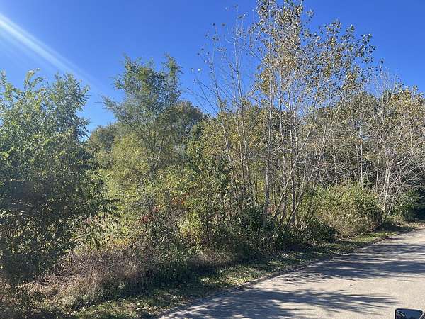 1.2 Acres of Residential Land for Sale in Essex, Illinois