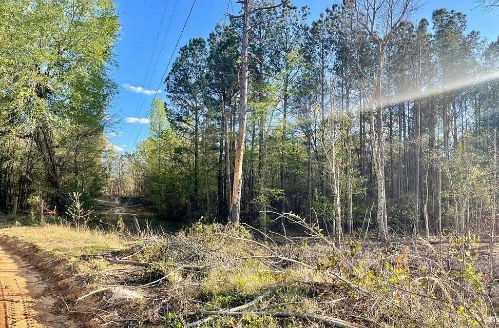 23.11 Acres of Land for Sale in Windsor, South Carolina