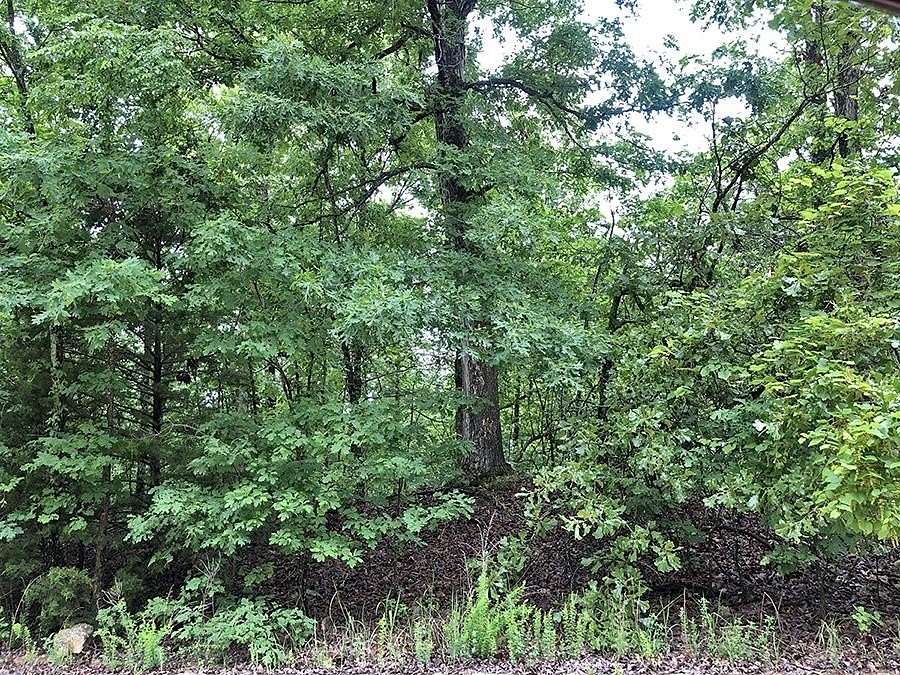 0.26 Acres of Residential Land for Sale in Ozark Acres, Arkansas