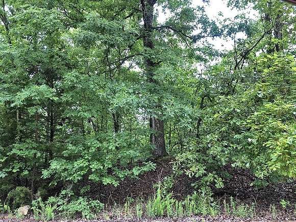 0.26 Acres of Residential Land for Sale in Ozark Acres, Arkansas