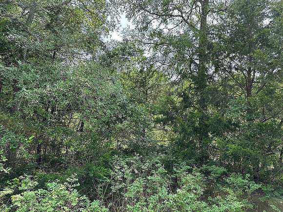 0.93 Acres of Residential Land for Sale in Caldwell, Texas