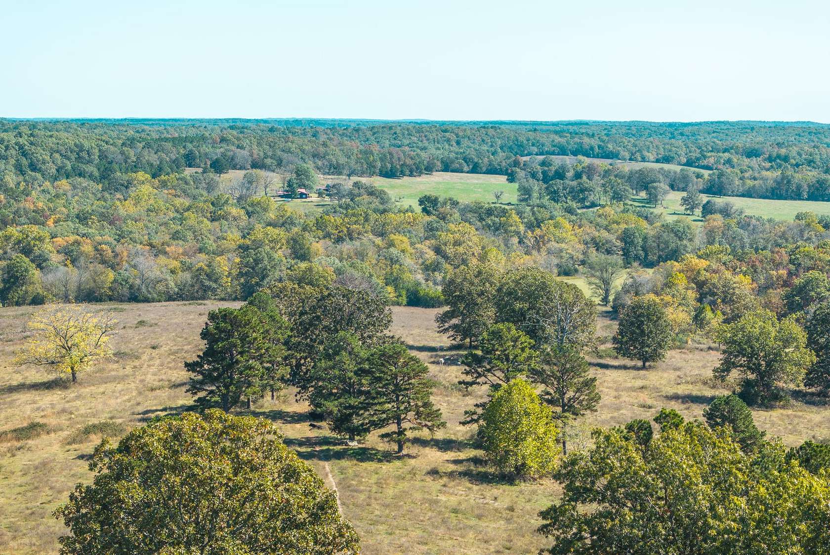 620 Acres of Land with Home for Sale in Licking, Missouri