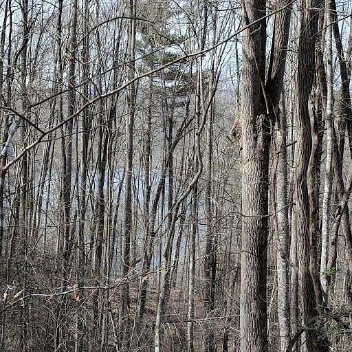 0.54 Acres of Residential Land for Sale in Nantahala Township, North Carolina