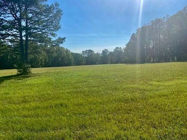 10.8 Acres of Land for Sale in Appling, Georgia
