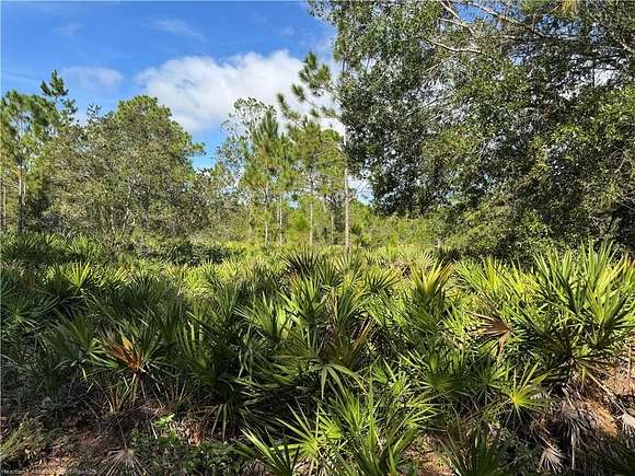 24.4 Acres of Recreational Land for Sale in Avon Park, Florida