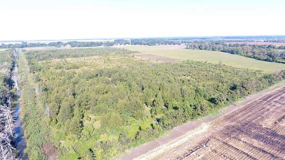 71.72 Acres of Recreational Land for Sale in Watson, Arkansas