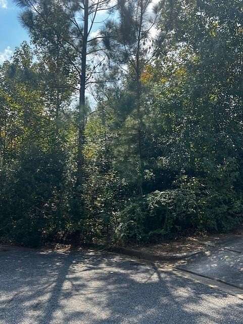 0.311 Acres of Residential Land for Sale in Mobile, Alabama