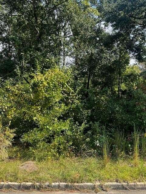 0.223 Acres of Residential Land for Sale in Mobile, Alabama