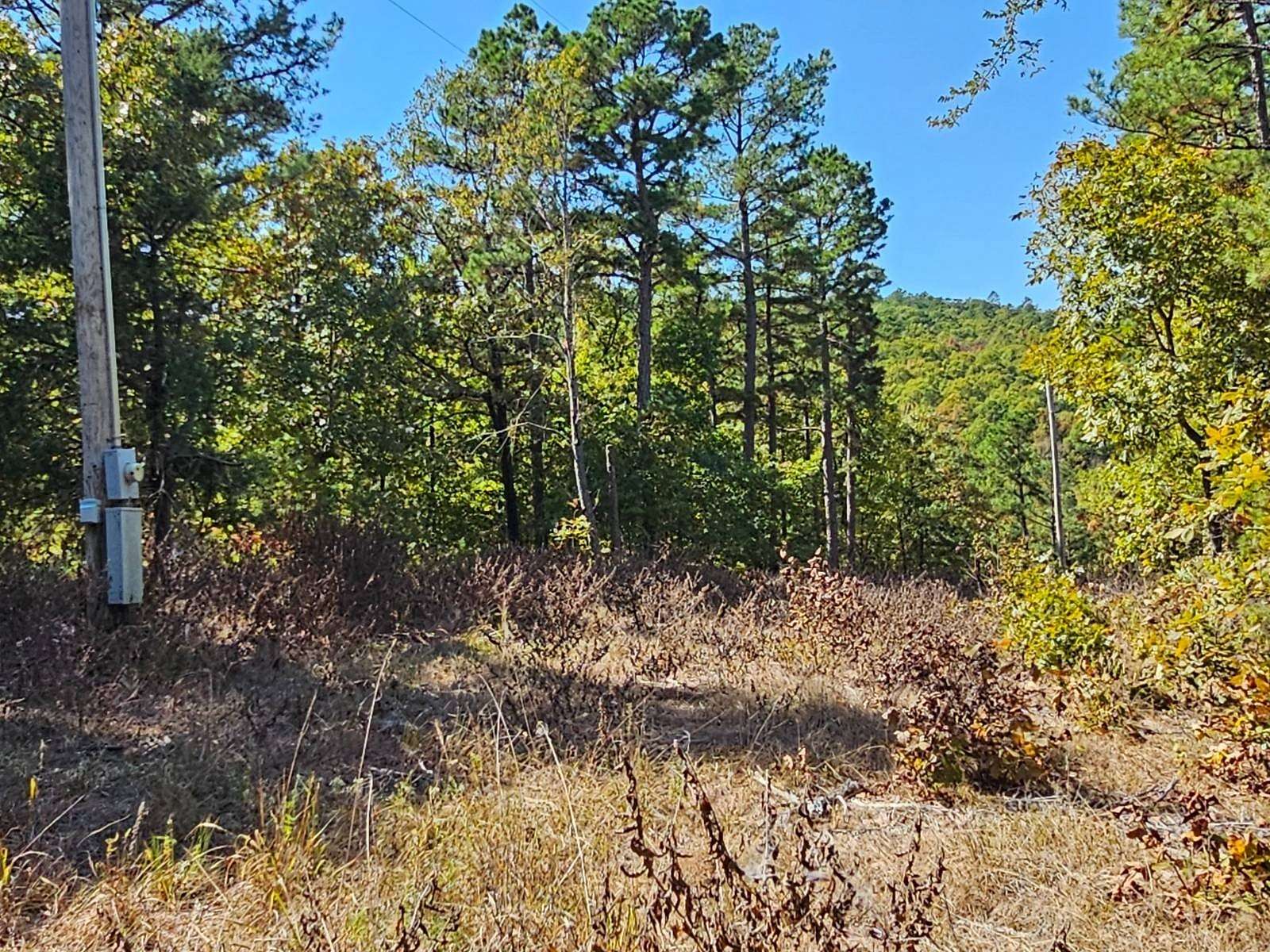 84 Acres of Recreational Land for Sale in Talihina, Oklahoma