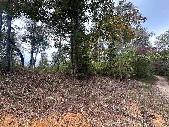 1.1 Acres of Land for Sale in Celina, Tennessee