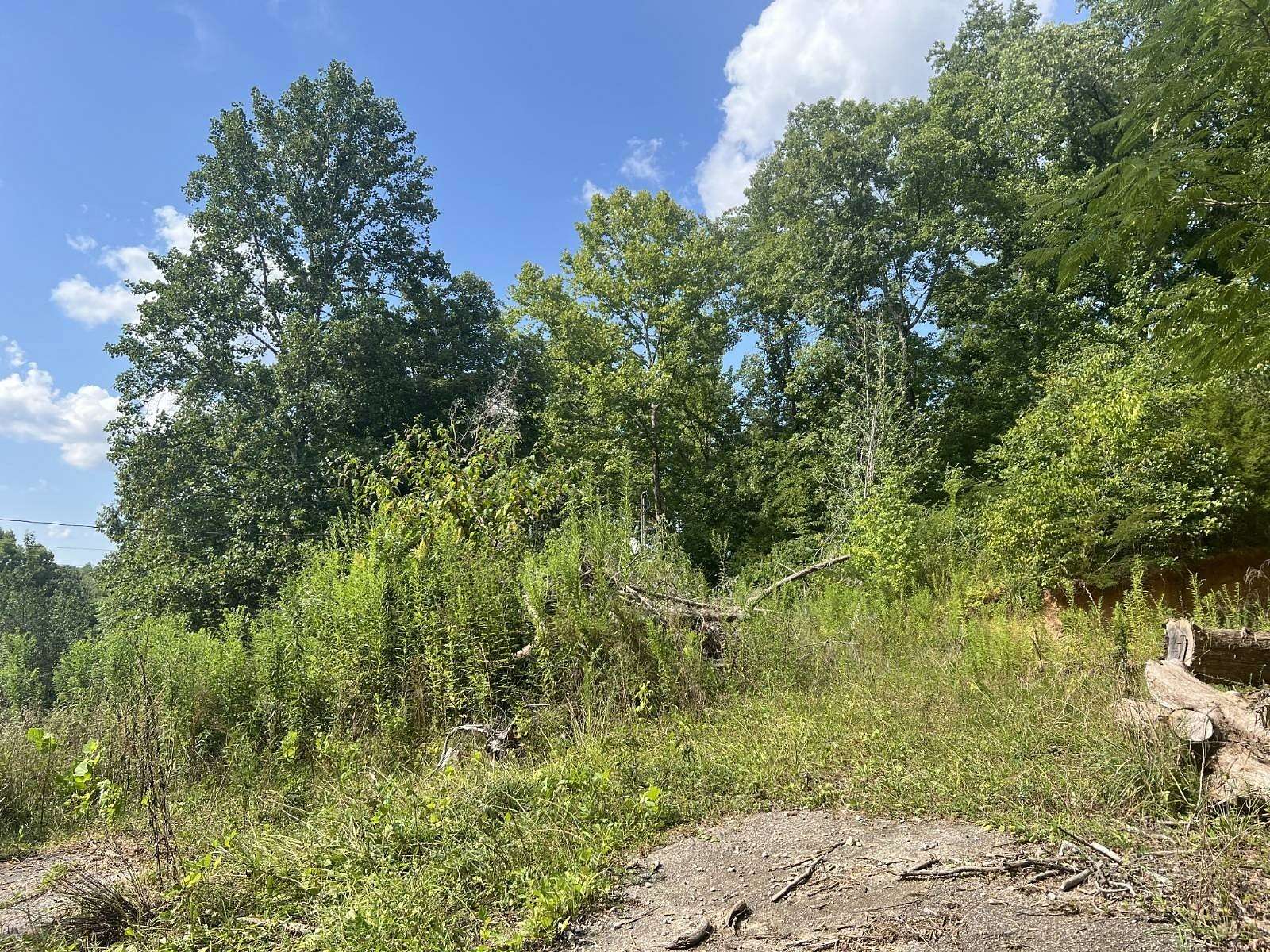 3 Acres of Land for Sale in Linden, Tennessee