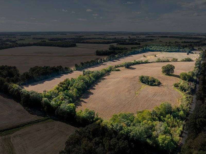 87.5 Acres of Agricultural Land for Auction in Dixon, Kentucky