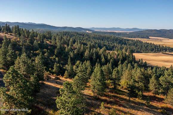 6.8 Acres of Residential Land for Sale in Plummer, Idaho