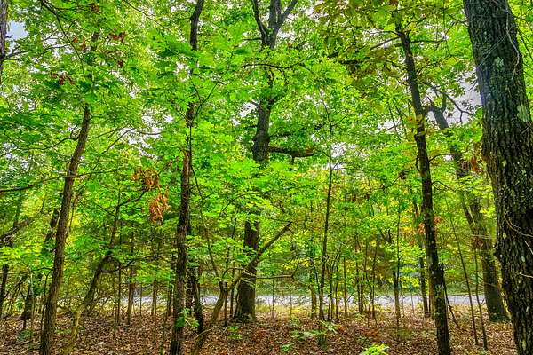 0.46 Acres of Residential Land for Sale in Horseshoe Bend, Arkansas