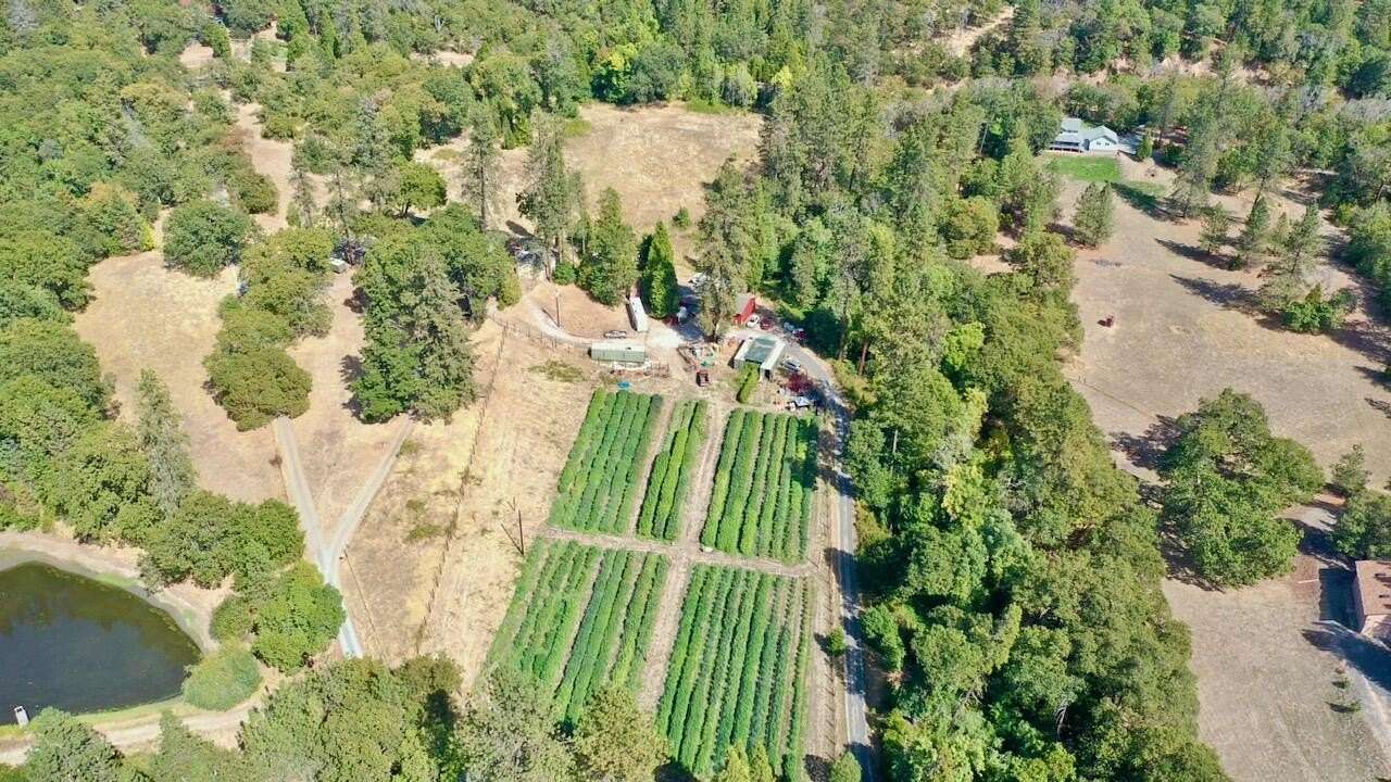 11.8 Acres of Land with Home for Sale in Grants Pass, Oregon