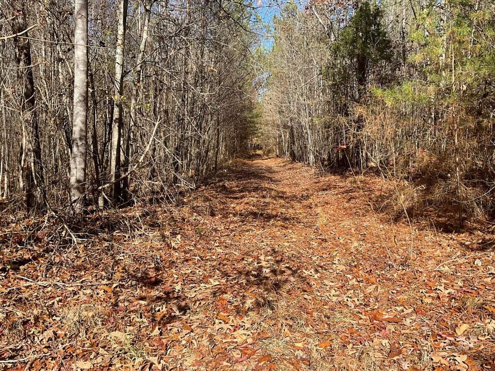 63.57 Acres of Recreational Land for Sale in Hubbertville, Alabama