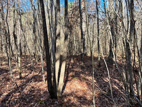 33.7 Acres of Recreational Land for Sale in Hubbertville, Alabama