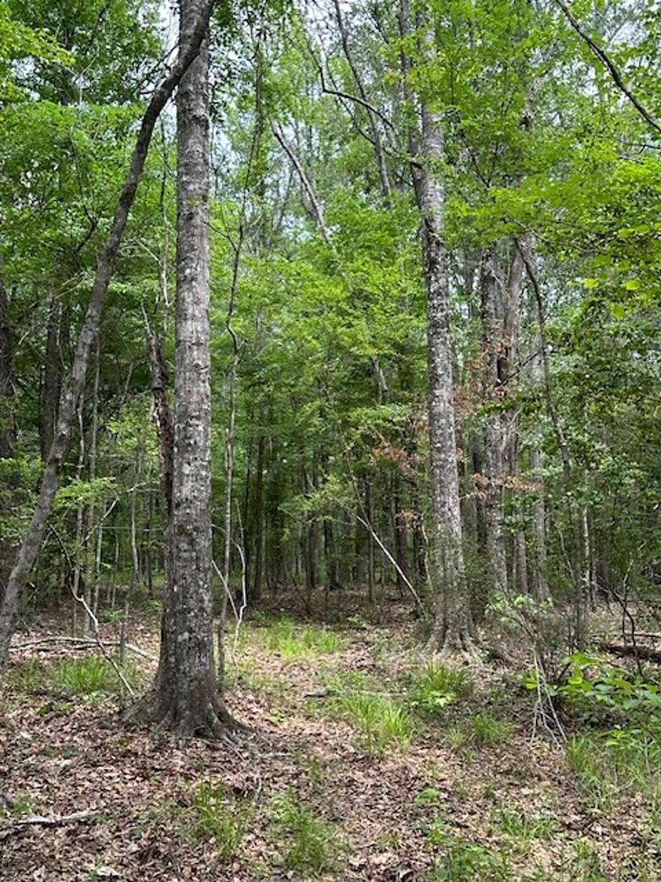 127 Acres of Recreational Land for Sale in Liberty, Mississippi