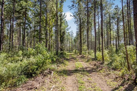 83 Acres of Recreational Land & Farm for Sale in Gloster, Mississippi