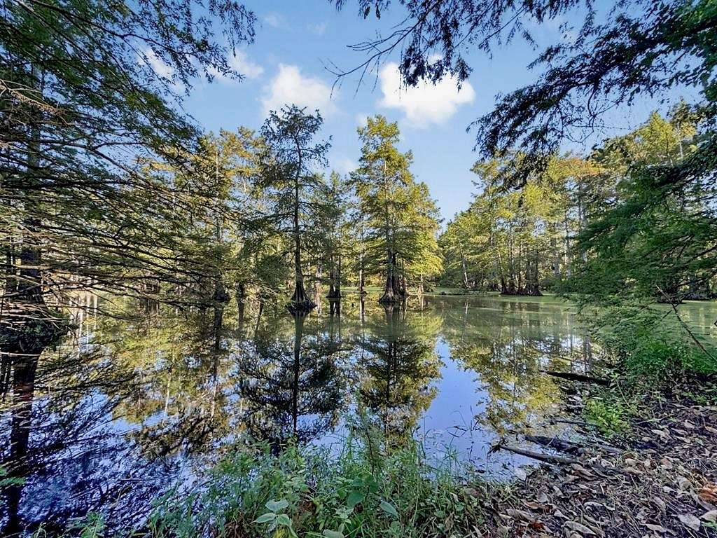 250 Acres of Recreational Land & Farm for Sale in West Monroe, Louisiana