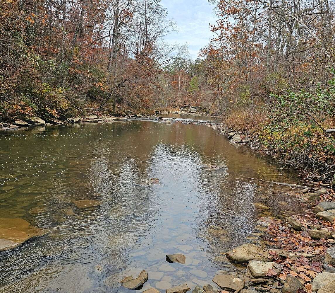 118.88 Acres of Recreational Land for Sale in McCalla, Alabama