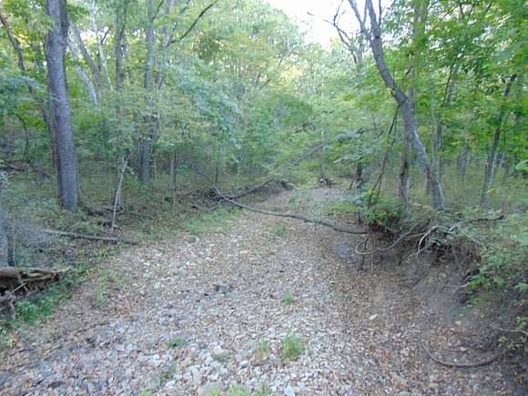 40 Acres of Recreational Land for Sale in Leeton, Missouri