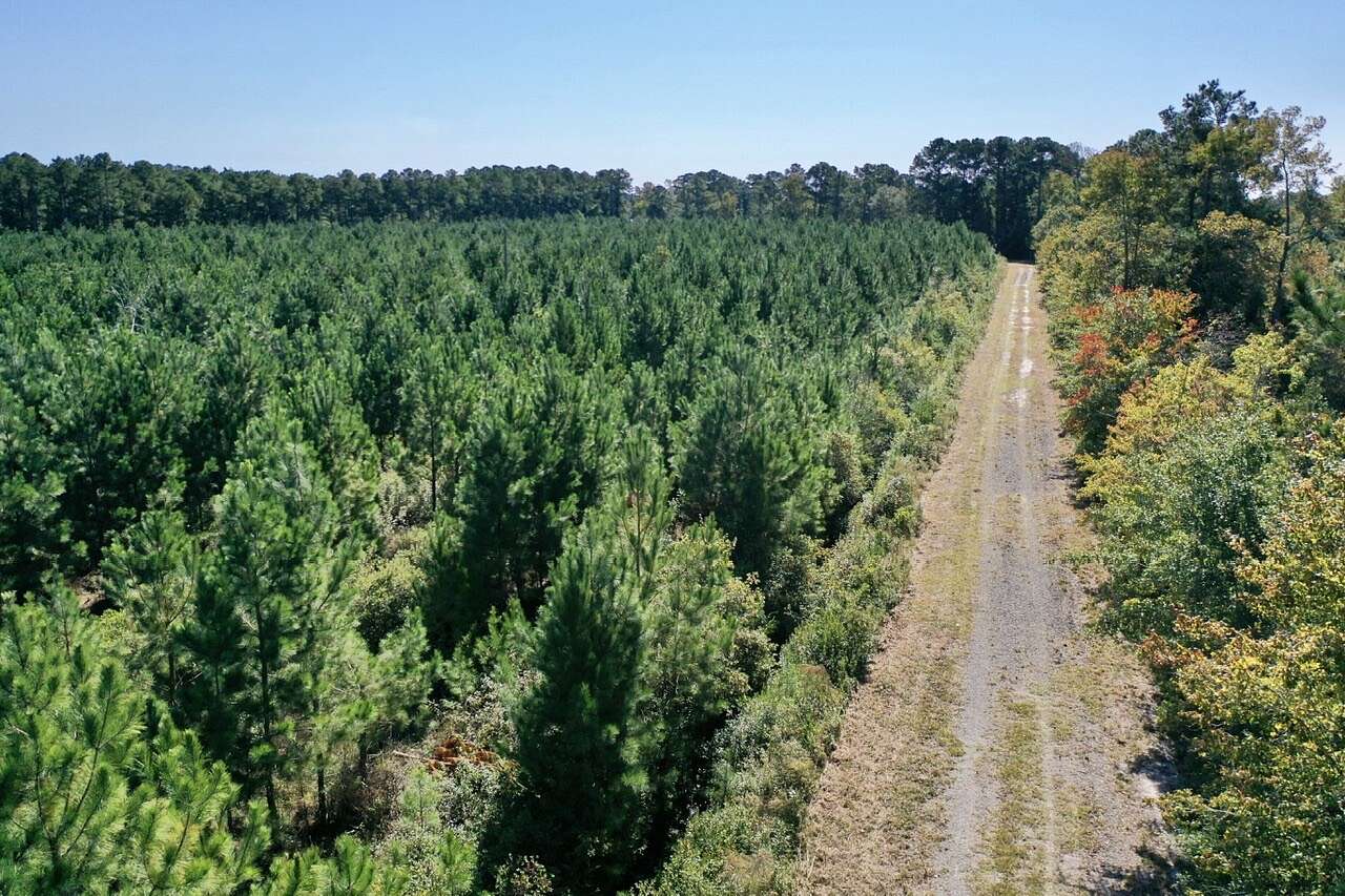 95 Acres of Land for Sale in Richlands, North Carolina