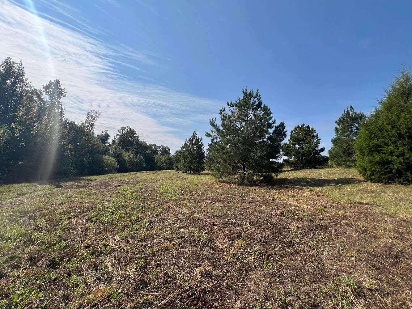 9.5 Acres of Residential Land for Sale in Newville, Alabama