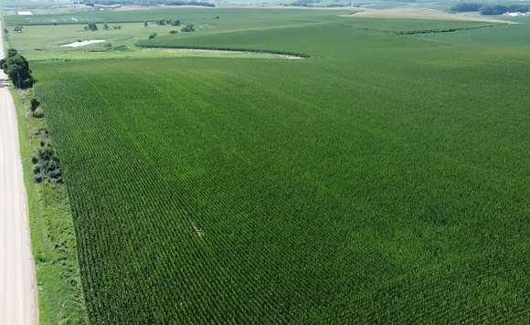 80 Acres of Agricultural Land for Auction in Stanton, Nebraska