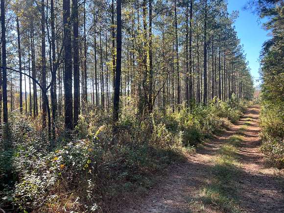 242 Acres of Land for Sale in Ozark, Alabama