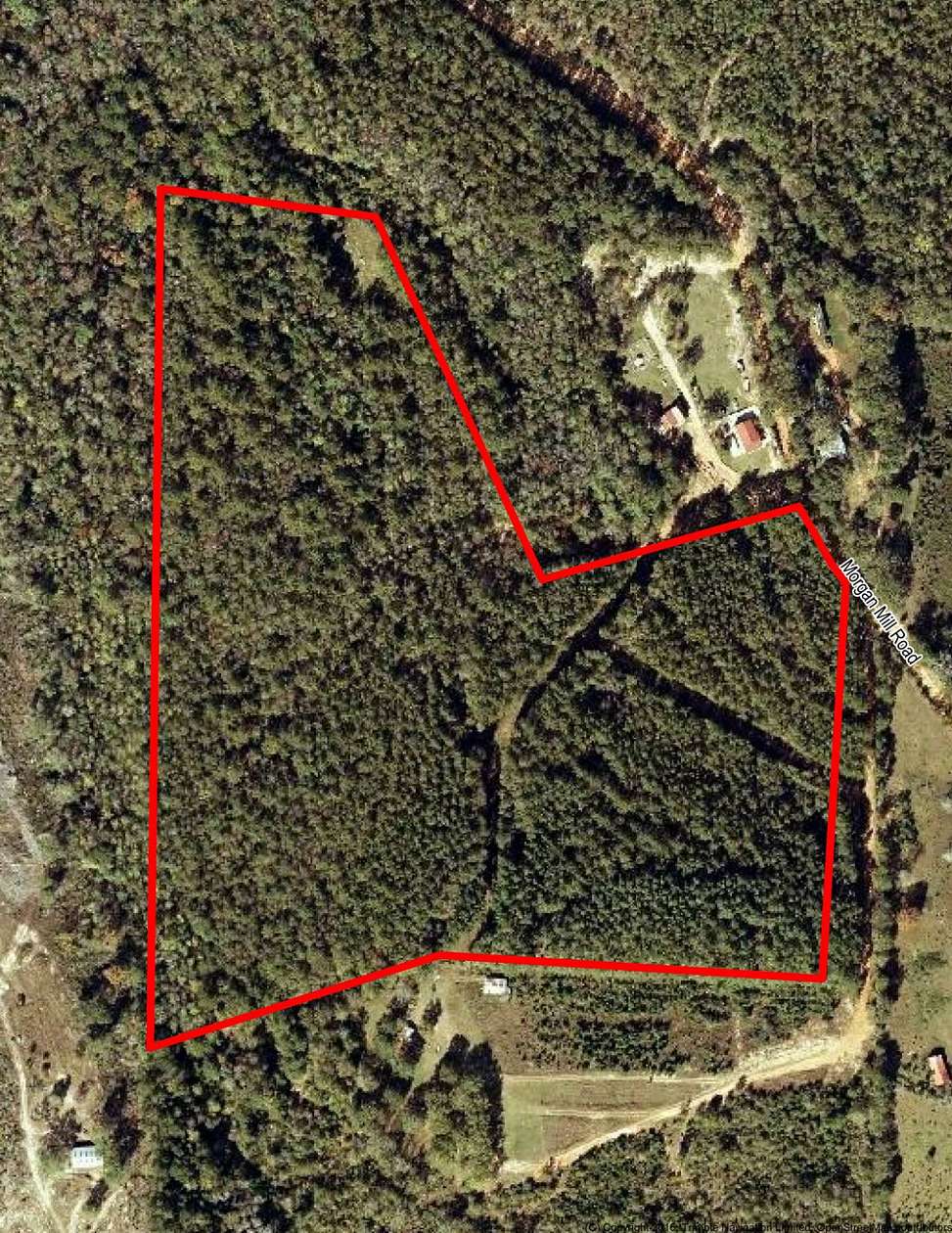 29 Acres of Recreational Land for Sale in Brantley, Alabama