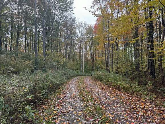 5.29 Acres of Recreational Land for Sale in Florence, New York