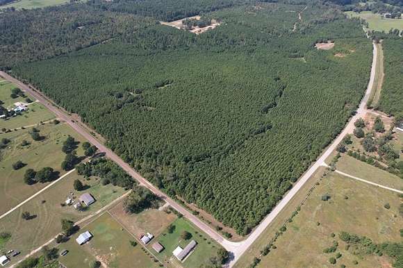 130.75 Acres of Recreational Land for Sale in Gladewater, Texas